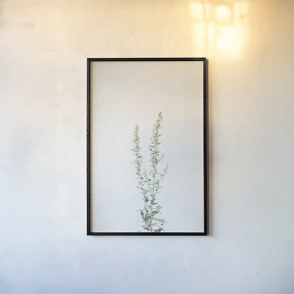 Simple Stems IV by Felicity Bradley. shown as a paper print in a black flame. Available as a archival giclee rolled canvas, fine art paper, or poster print. SKU 48472h.