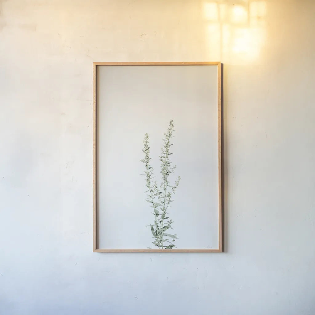 Simple Stems IV by Felicity Bradley. shown as a paper print in a natural frame. Available as a archival giclee rolled canvas, fine art paper, or poster print. SKU 48472h.