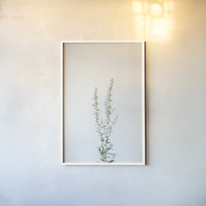 Simple Stems IV by Felicity Bradley. shown as a paper print in a white frame. Available as a archival giclee rolled canvas, fine art paper, or poster print. SKU 48472h.