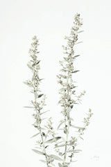 Simple Stems IV Light Crop by Felicity Bradley. SKU 56819h. Archival Giclee Fine art print for wall decor.