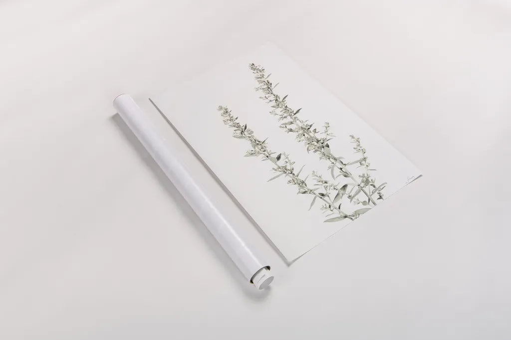 Simple Stems IV Light Crop by Felicity Bradley. shown as a rolled paper print. Available as archival giclee rolled canvas, fine art paper, or poster print. SKU 56819h.