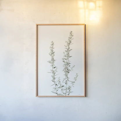 Simple Stems IV Light Crop by Felicity Bradley. shown as a paper print in a natural frame. Available as a archival giclee rolled canvas, fine art paper, or poster print. SKU 56819h.