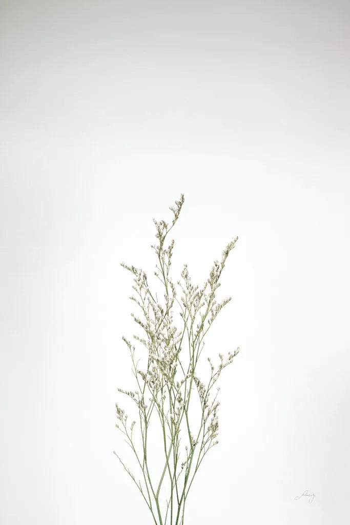 Simple Stems V by Felicity Bradley. SKU 48473h. Archival Giclee Fine art print for wall decor.