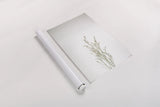 Simple Stems V by Felicity Bradley. shown as a rolled paper print. Available as archival giclee rolled canvas, fine art paper, or poster print. SKU 48473h.