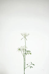 Simple Stems VI by Felicity Bradley. SKU 48474h. Archival Giclee Fine art print for wall decor.