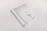 Simple Stems VI by Felicity Bradley. shown as a rolled paper print. Available as archival giclee rolled canvas, fine art paper, or poster print. SKU 48474h.