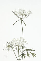 Simple Stems VI Light Crop by Felicity Bradley. SKU 56820h. Archival Giclee Fine art print for wall decor.