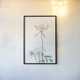 Simple Stems VI Light Crop by Felicity Bradley. shown as a paper print in a black flame. Available as a archival giclee rolled canvas, fine art paper, or poster print. SKU 56820h.