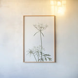 Simple Stems VI Light Crop by Felicity Bradley. shown as a paper print in a natural frame. Available as a archival giclee rolled canvas, fine art paper, or poster print. SKU 56820h.