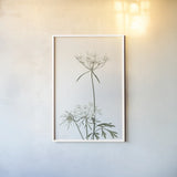 Simple Stems VI Light Crop by Felicity Bradley. shown as a paper print in a white frame. Available as a archival giclee rolled canvas, fine art paper, or poster print. SKU 56820h.