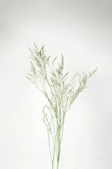 Simple Stems VII by Felicity Bradley. SKU 48475h. Archival Giclee Fine art print for wall decor.