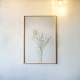Simple Stems VII by Felicity Bradley. shown as a paper print in a natural frame. Available as a archival giclee rolled canvas, fine art paper, or poster print. SKU 48475h.