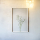 Simple Stems VII by Felicity Bradley. shown as a paper print in a white frame. Available as a archival giclee rolled canvas, fine art paper, or poster print. SKU 48475h.