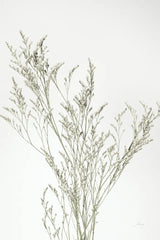 Simple Stems VII Light Crop by Felicity Bradley. SKU 56821h. Archival Giclee Fine art print for wall decor.
