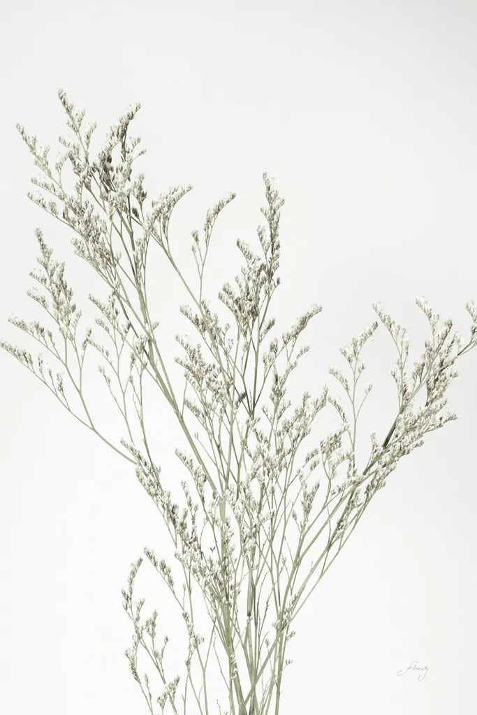 Simple Stems VII Light Crop by Felicity Bradley. SKU 56821h. Archival Giclee Fine art print for wall decor.