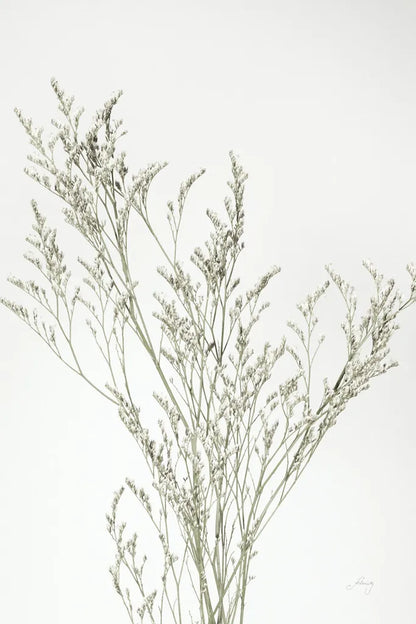 Simple Stems VII Light Crop by Felicity Bradley. SKU 56821h. Archival Giclee Fine art print for wall decor.