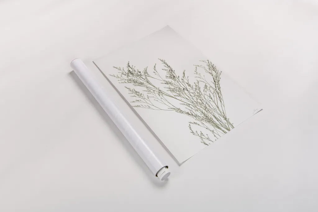 Simple Stems VII Light Crop by Felicity Bradley. shown as a rolled paper print. Available as archival giclee rolled canvas, fine art paper, or poster print. SKU 56821h.