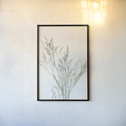 Simple Stems VII Light Crop by Felicity Bradley. shown as a paper print in a black flame. Available as a archival giclee rolled canvas, fine art paper, or poster print. SKU 56821h.