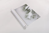 Snowy Bough by Felicity Bradley. shown as a rolled paper print. Available as archival giclee rolled canvas, fine art paper, or poster print. SKU 60541i.
