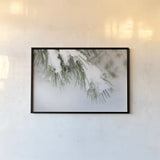 Snowy Bough by Felicity Bradley. shown as a paper print in a black flame. Available as a archival giclee rolled canvas, fine art paper, or poster print. SKU 60541i.