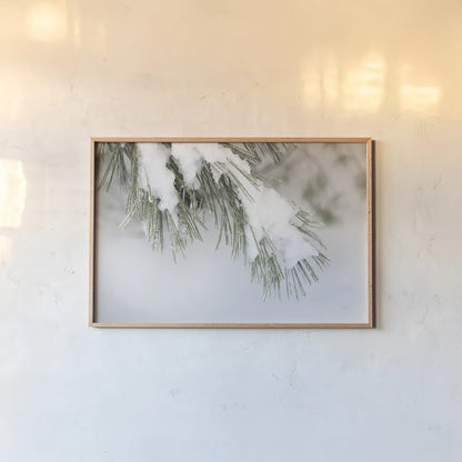 Snowy Bough by Felicity Bradley. shown as a paper print in a natural frame. Available as a archival giclee rolled canvas, fine art paper, or poster print. SKU 60541i.