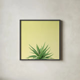 Succulent Simplicity I by Felicity Bradley. Shown in a sleek black glass frame for a contemporary gallery look. Available as an archival giclee rolled canvas, fine art paper, or poster print. SKU 33834a.