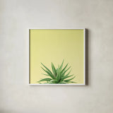 Succulent Simplicity I by Felicity Bradley. Shown in a crisp white glass frame for a clean and minimalist style. Available as an archival giclee rolled canvas, fine art paper, or poster print. SKU 33834a.