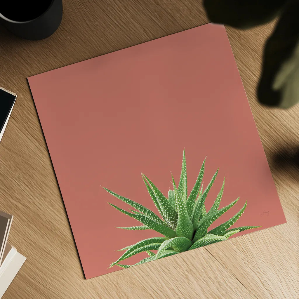 Succulent Simplicity I Coral by Felicity Bradley. Shown as a detailed flat fine art print, highlighting archival giclee quality. Available as an archival giclee rolled canvas, fine art paper, or poster print. SKU 54222a.