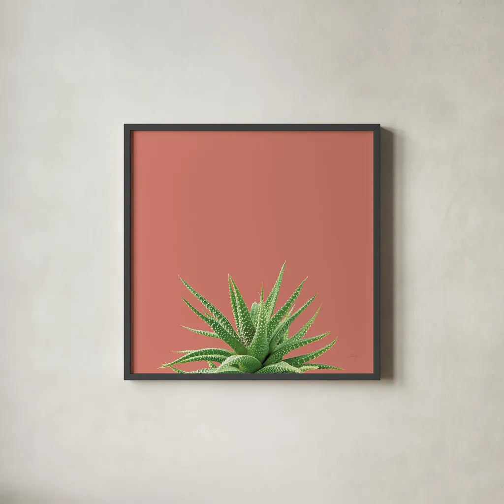 Succulent Simplicity I Coral by Felicity Bradley. Shown in a sleek black glass frame for a contemporary gallery look. Available as an archival giclee rolled canvas, fine art paper, or poster print. SKU 54222a.