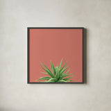 Succulent Simplicity I Coral by Felicity Bradley. Shown in a sleek black glass frame for a contemporary gallery look. Available as an archival giclee rolled canvas, fine art paper, or poster print. SKU 54222a.