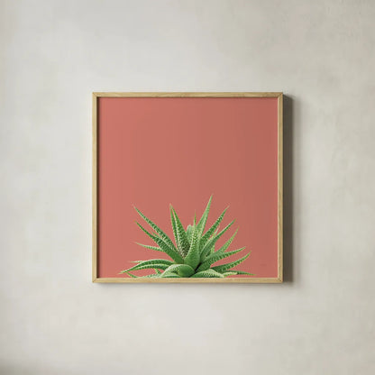 Succulent Simplicity I Coral by Felicity Bradley. Shown in a natural wood glass frame for a timeless modern aesthetic. Available as an archival giclee rolled canvas, fine art paper, or poster print. SKU 54222a.