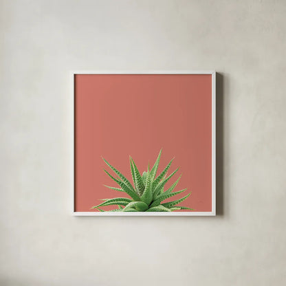 Succulent Simplicity I Coral by Felicity Bradley. Shown in a crisp white glass frame for a clean and minimalist style. Available as an archival giclee rolled canvas, fine art paper, or poster print. SKU 54222a.