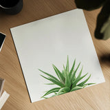 Succulent Simplicity I Neutral by Felicity Bradley. Shown as a detailed flat fine art print, highlighting archival giclee quality. Available as an archival giclee rolled canvas, fine art paper, or poster print. SKU 41648a.