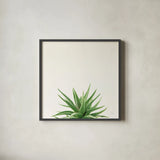Succulent Simplicity I Neutral by Felicity Bradley. Shown in a sleek black glass frame for a contemporary gallery look. Available as an archival giclee rolled canvas, fine art paper, or poster print. SKU 41648a.
