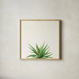 Succulent Simplicity I Neutral by Felicity Bradley. Shown in a natural wood glass frame for a timeless modern aesthetic. Available as an archival giclee rolled canvas, fine art paper, or poster print. SKU 41648a.