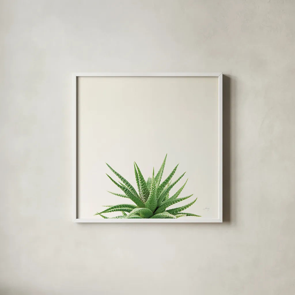 succulent minimalist art Decor Canvas Print / 6x6