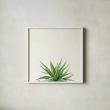 Succulent Simplicity I Neutral by Felicity Bradley. Shown in a crisp white glass frame for a clean and minimalist style. Available as an archival giclee rolled canvas, fine art paper, or poster print. SKU 41648a.