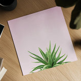 Succulent Simplicity I on Pink by Felicity Bradley. Shown as a detailed flat fine art print, highlighting archival giclee quality. Available as an archival giclee rolled canvas, fine art paper, or poster print. SKU 34348a.