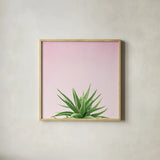 Succulent Simplicity I on Pink by Felicity Bradley. Shown in a natural wood glass frame for a timeless modern aesthetic. Available as an archival giclee rolled canvas, fine art paper, or poster print. SKU 34348a.