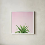 Succulent Simplicity I on Pink by Felicity Bradley. Shown in a crisp white glass frame for a clean and minimalist style. Available as an archival giclee rolled canvas, fine art paper, or poster print. SKU 34348a.