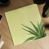 Succulent Simplicity II by Felicity Bradley. Shown as a detailed flat fine art print, highlighting archival giclee quality. Available as an archival giclee rolled canvas, fine art paper, or poster print. SKU 33835a.