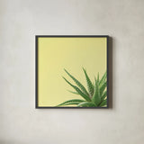 Succulent Simplicity II by Felicity Bradley. Shown in a sleek black glass frame for a contemporary gallery look. Available as an archival giclee rolled canvas, fine art paper, or poster print. SKU 33835a.