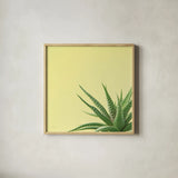 Succulent Simplicity II by Felicity Bradley. Shown in a natural wood glass frame for a timeless modern aesthetic. Available as an archival giclee rolled canvas, fine art paper, or poster print. SKU 33835a.