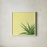 Succulent Simplicity II by Felicity Bradley. Shown in a crisp white glass frame for a clean and minimalist style. Available as an archival giclee rolled canvas, fine art paper, or poster print. SKU 33835a.