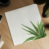 Succulent Simplicity II Neutral by Felicity Bradley. Shown as a detailed flat fine art print, highlighting archival giclee quality. Available as an archival giclee rolled canvas, fine art paper, or poster print. SKU 41649a.