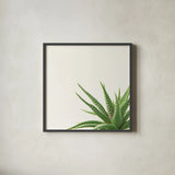 Succulent Simplicity II Neutral by Felicity Bradley. Shown in a sleek black glass frame for a contemporary gallery look. Available as an archival giclee rolled canvas, fine art paper, or poster print. SKU 41649a.