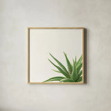 Succulent Simplicity II Neutral by Felicity Bradley. Shown in a natural wood glass frame for a timeless modern aesthetic. Available as an archival giclee rolled canvas, fine art paper, or poster print. SKU 41649a.