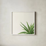 Succulent Simplicity II Neutral by Felicity Bradley. Shown in a crisp white glass frame for a clean and minimalist style. Available as an archival giclee rolled canvas, fine art paper, or poster print. SKU 41649a.