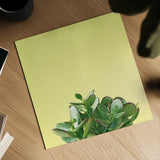 Succulent Simplicity III by Felicity Bradley. Shown as a detailed flat fine art print, highlighting archival giclee quality. Available as an archival giclee rolled canvas, fine art paper, or poster print. SKU 33836a.