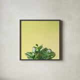Succulent Simplicity III by Felicity Bradley. Shown in a sleek black glass frame for a contemporary gallery look. Available as an archival giclee rolled canvas, fine art paper, or poster print. SKU 33836a.